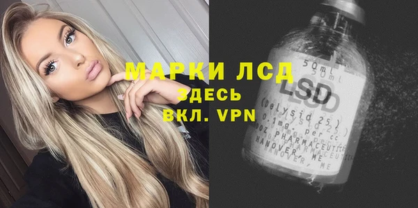 spice Аша